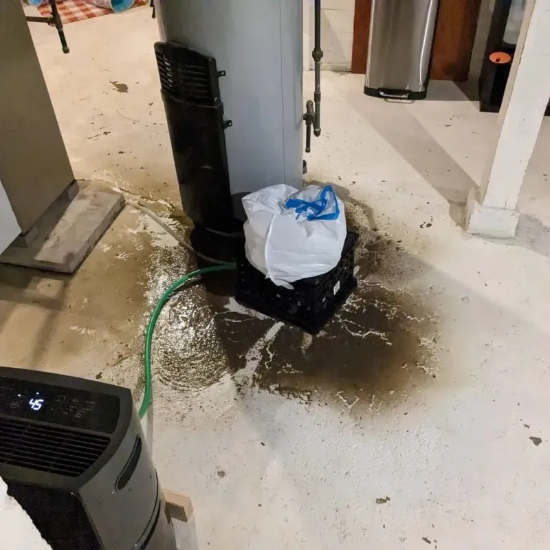 Sewage Backup Cleanup Service in Soulsbyville, CA